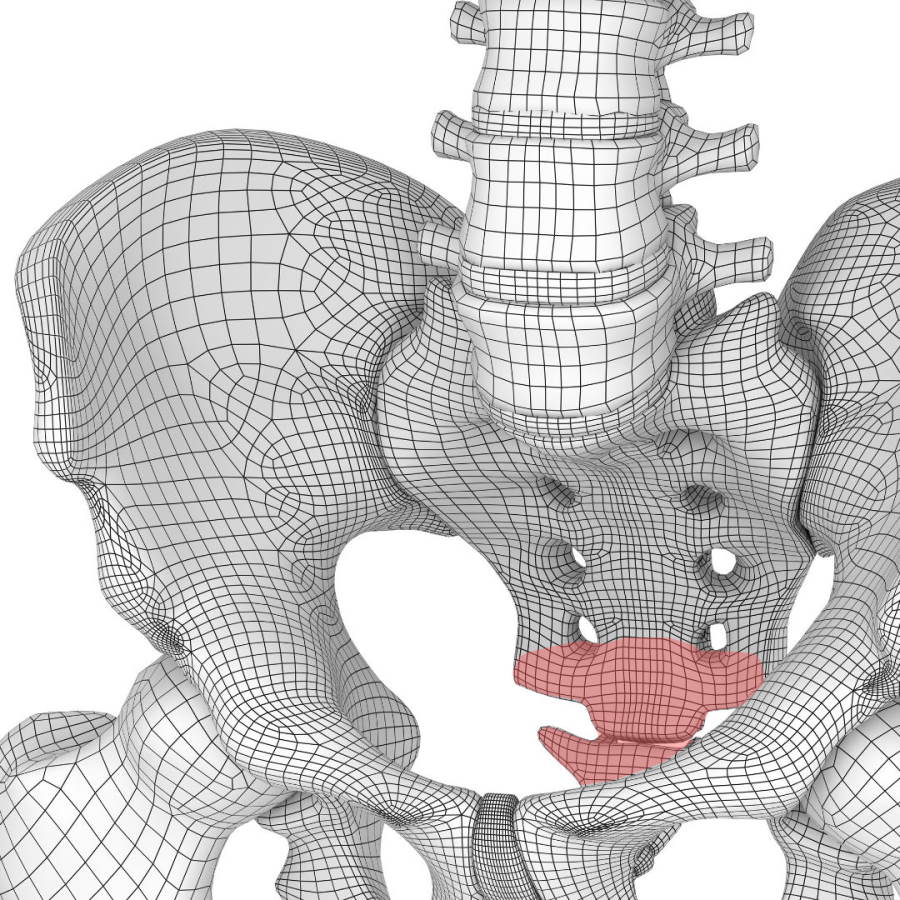 Fisioterapia para aliviar la coccigodinia