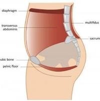 INCONTINENCIA URINARIA Y DOLOR LUMBOPELVICO