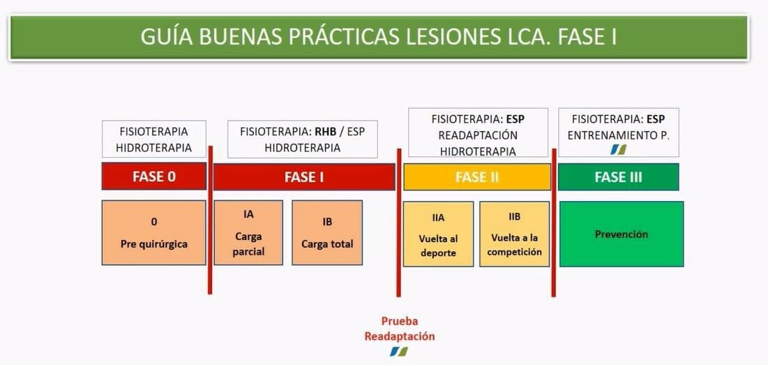 Guía buenas prácticas lesiones ligamento cruzado anterior fase I