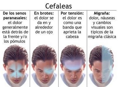 cefaleas