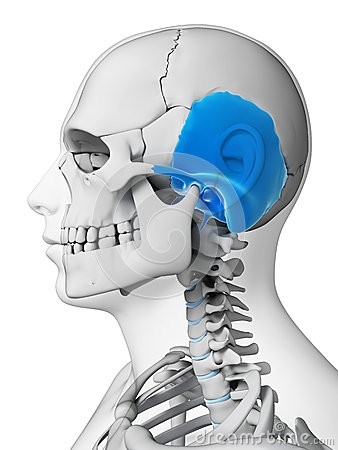 Mareos, vértigos y hueso temporal
