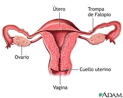 CASO CLÍNICO. FISIOTERAPIA, OSTEOPATÍA Y LUMBALGIAS DE REPETICIÓN