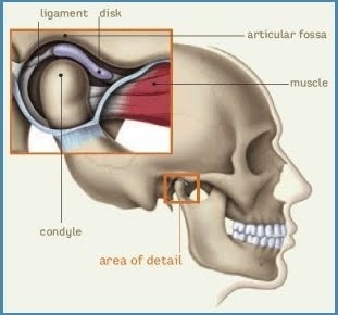 FISIOTERAPIA OROFACIAL: Crepitaciones (ruidos) o chasquidos en la ATM