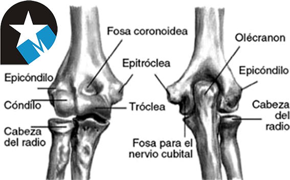 RIGIDEZ EN EL CODO