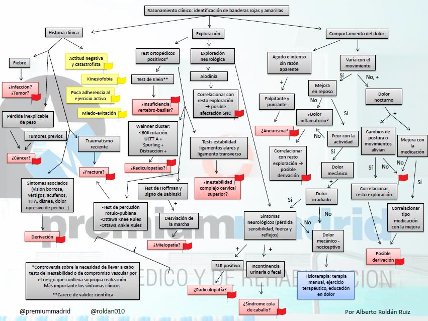 Razonamiento clínico: identificacion de banderas rojas y amarillas