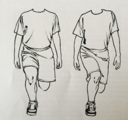 test ligamento cruzado anterior