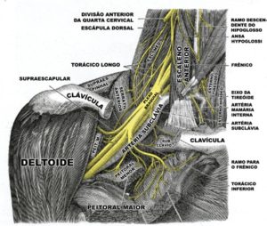 Lesiones del plexo lumbar