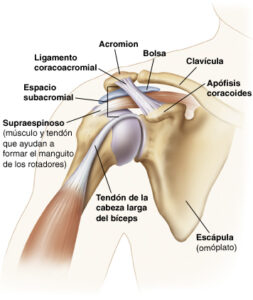 impignement subacromial