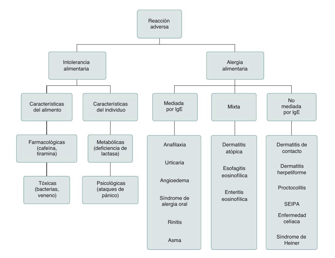 tipos de intolerancias alimentarias