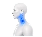 Cervical