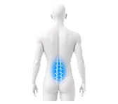 Lumbar